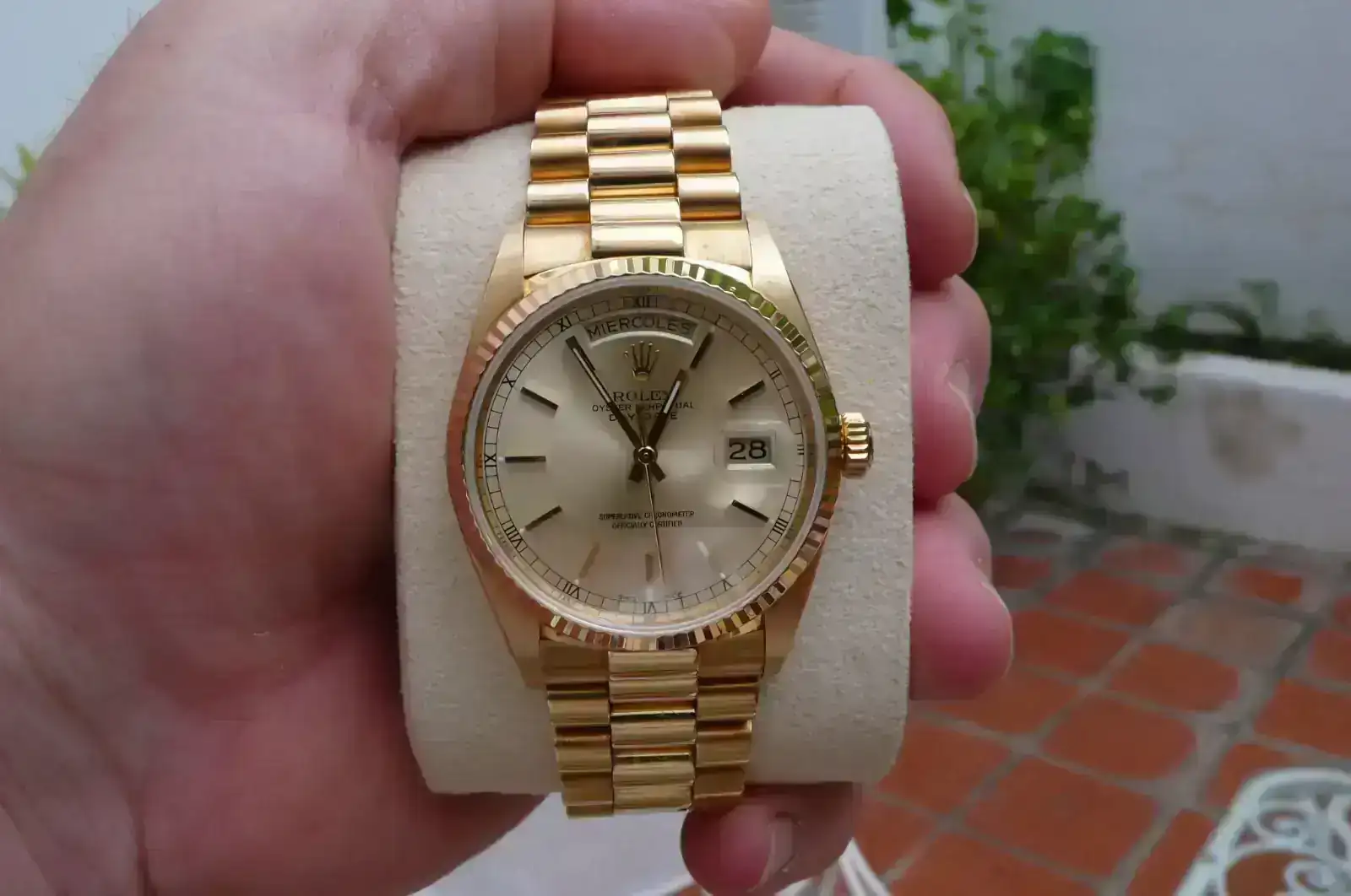 P1130731.webp