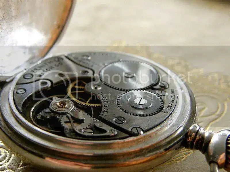 P1140030_zpsd51a5600.webp