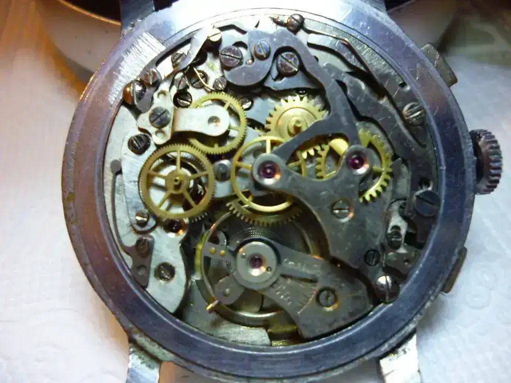 P1150212.webp