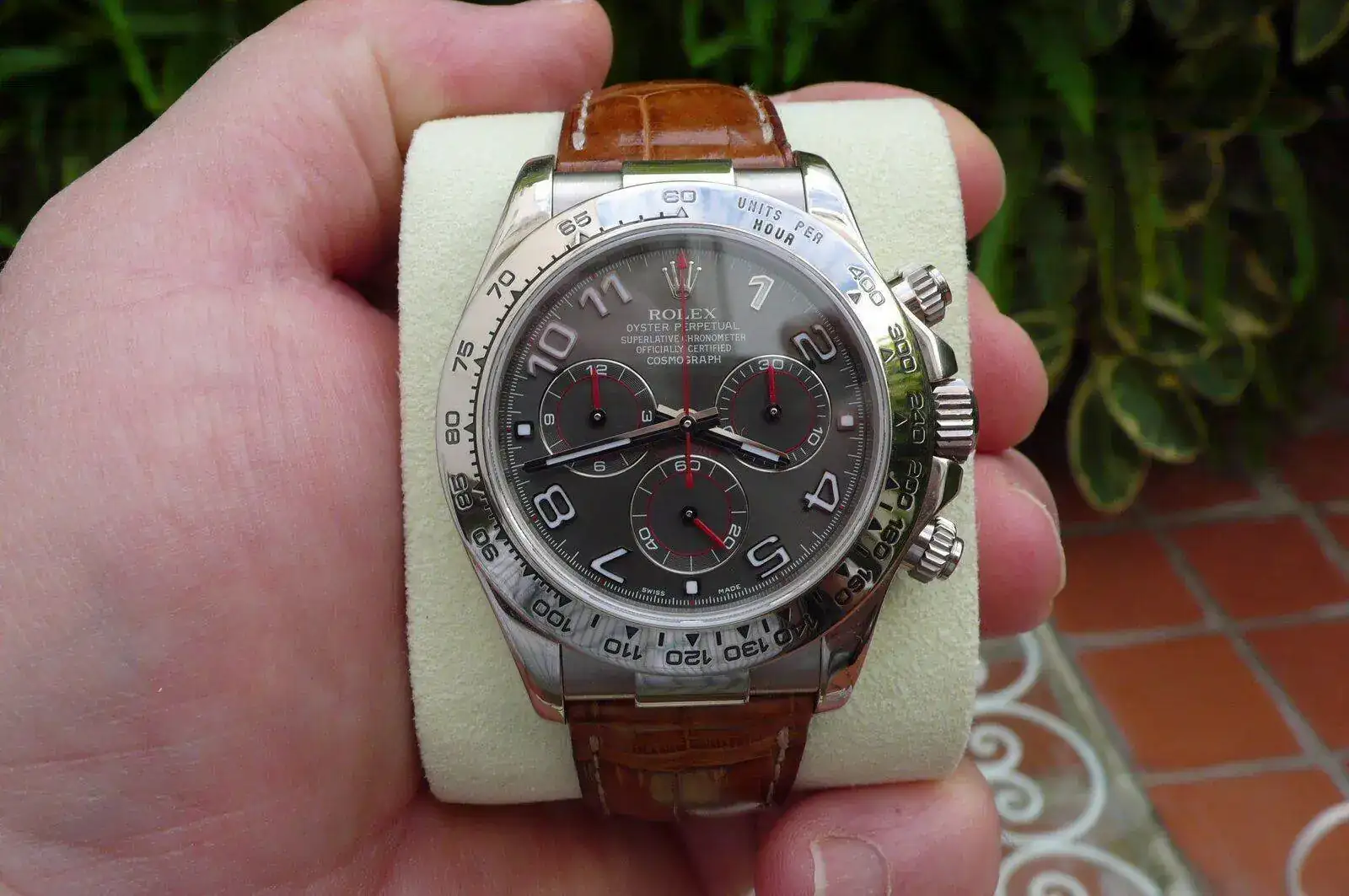 P1200025.webp