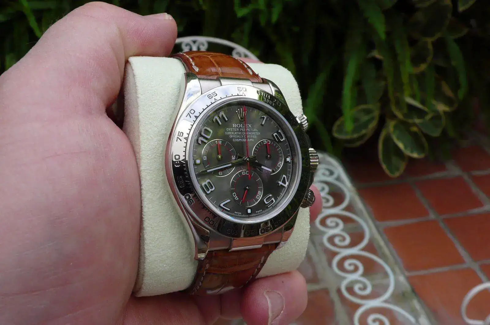 P1200027.webp