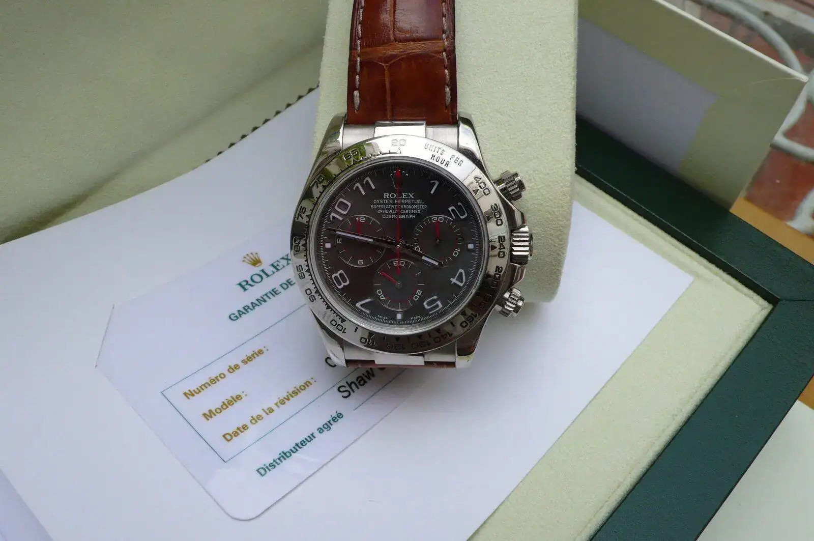 P1200041.webp