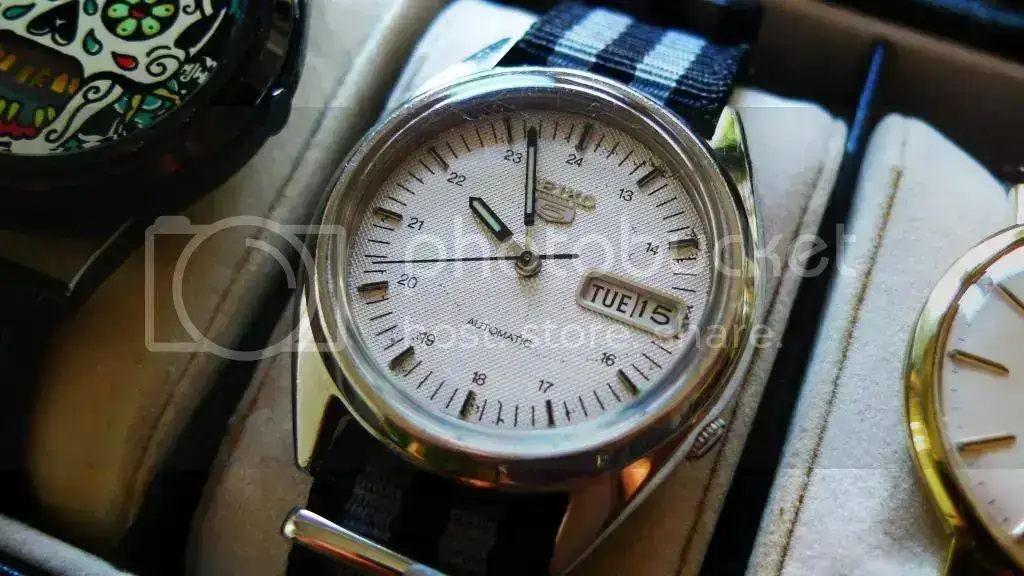 P1200457_zps395ae0d6.webp