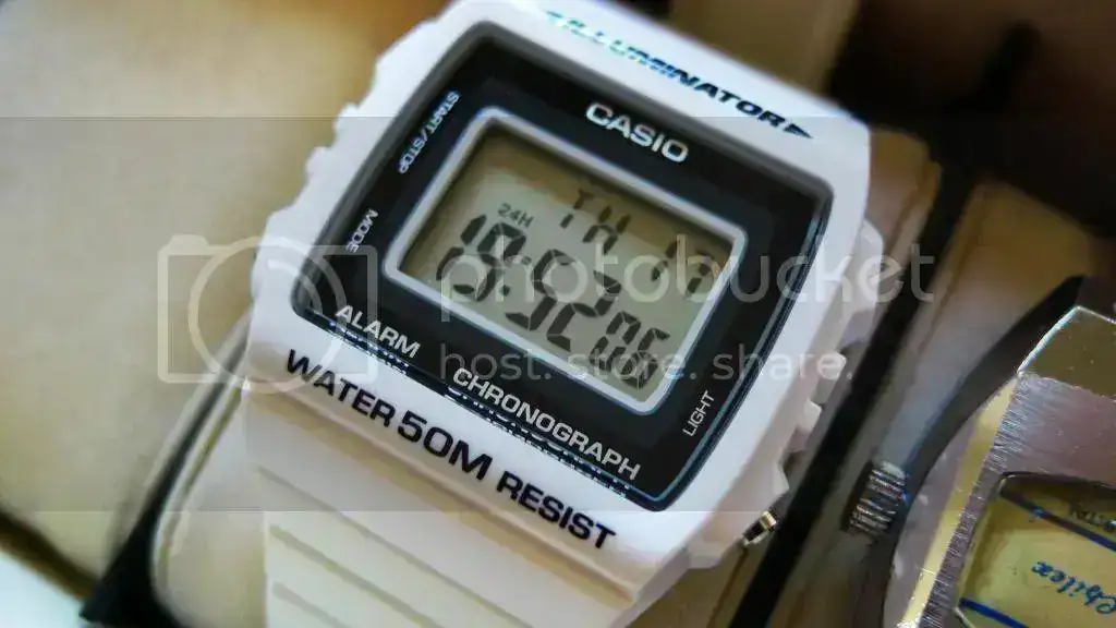 P1200469_zpsa26cadf7.webp