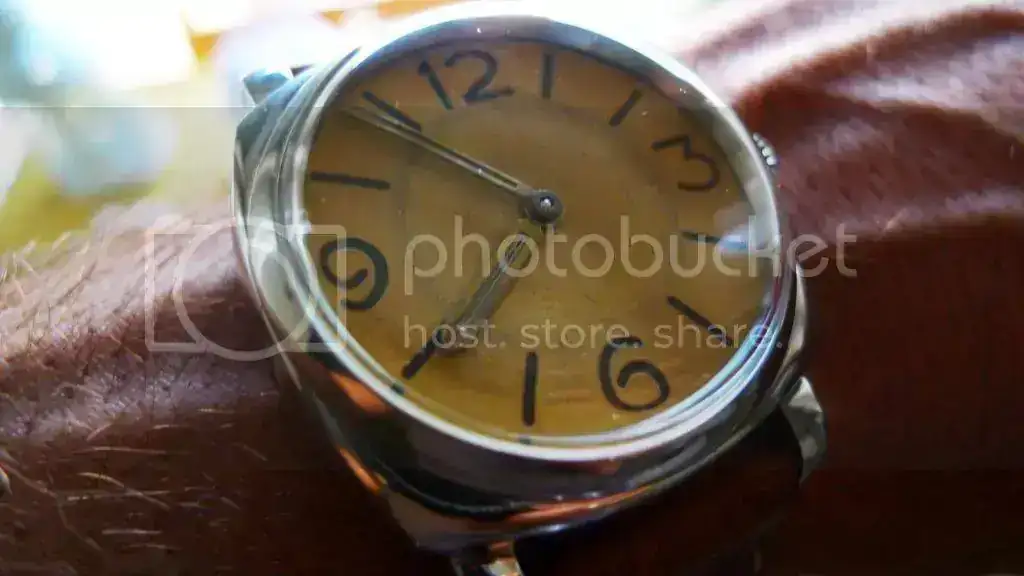 P1200471_zps5a5b6bdf.webp