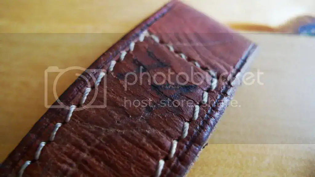 P1210604_zpsvhuasowe.webp