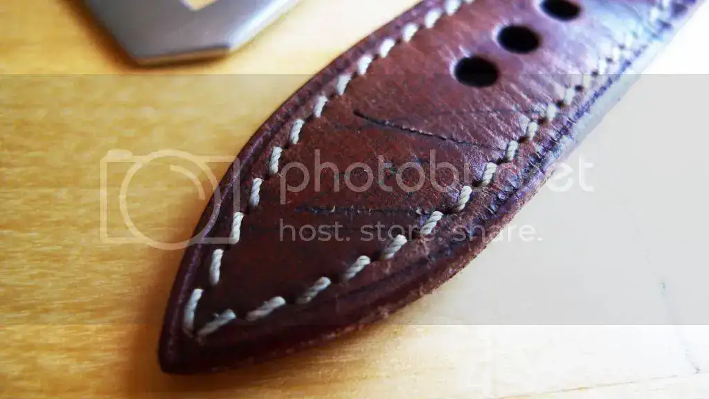 P1210610_zpsalbed1pn.webp