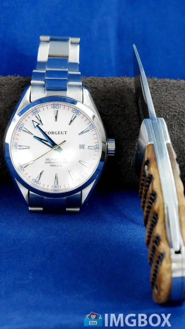 P1240706fac6ff8034f29916.webp