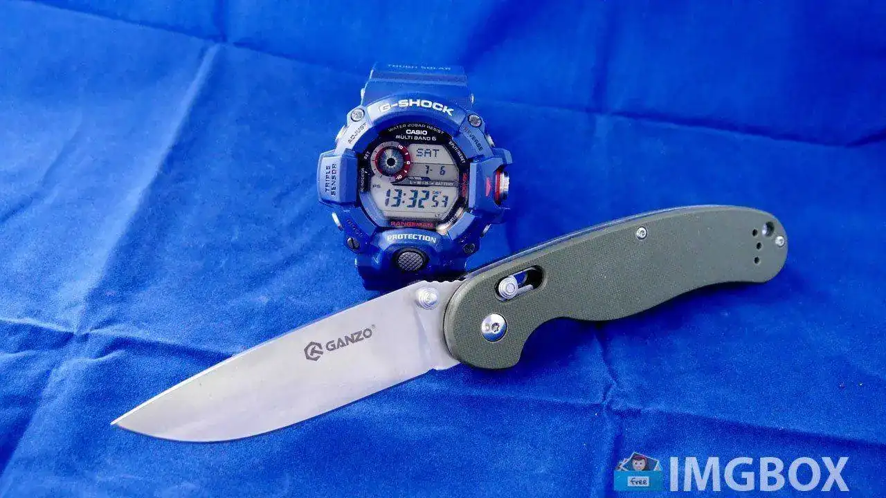 P12407132d98a12fd8a7c5af.webp