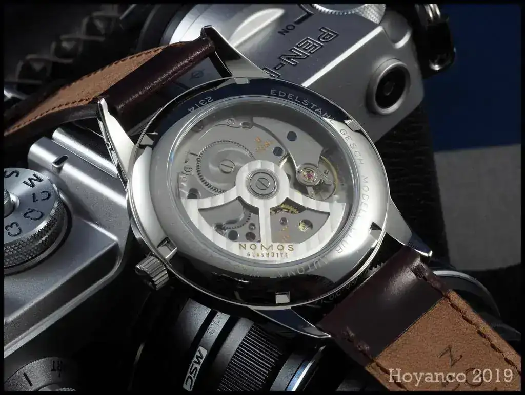 P2020159 (Copiar).webp