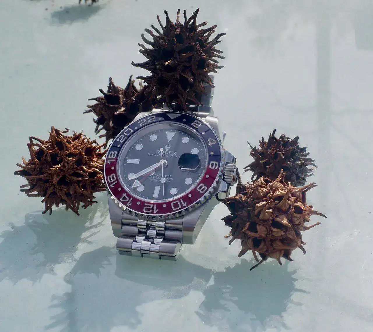 P2240013 (2).webp