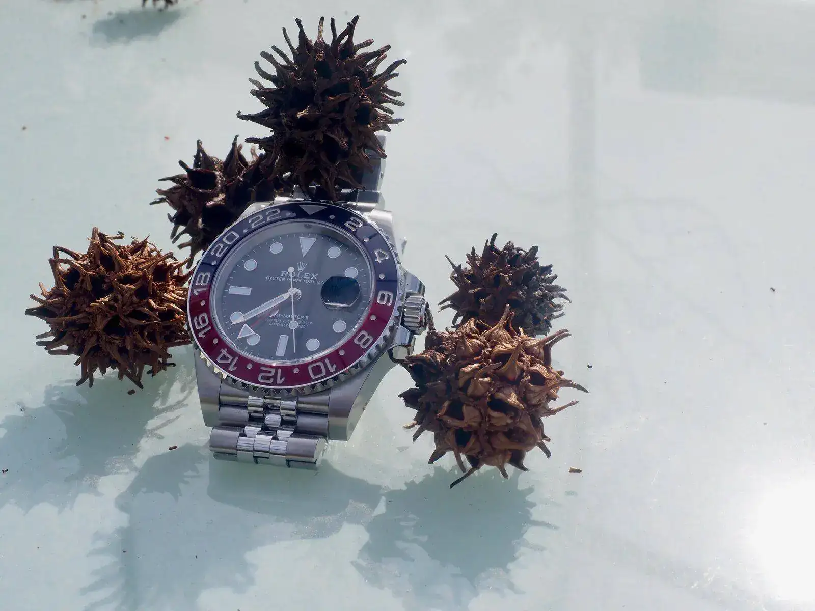 P2240013.webp