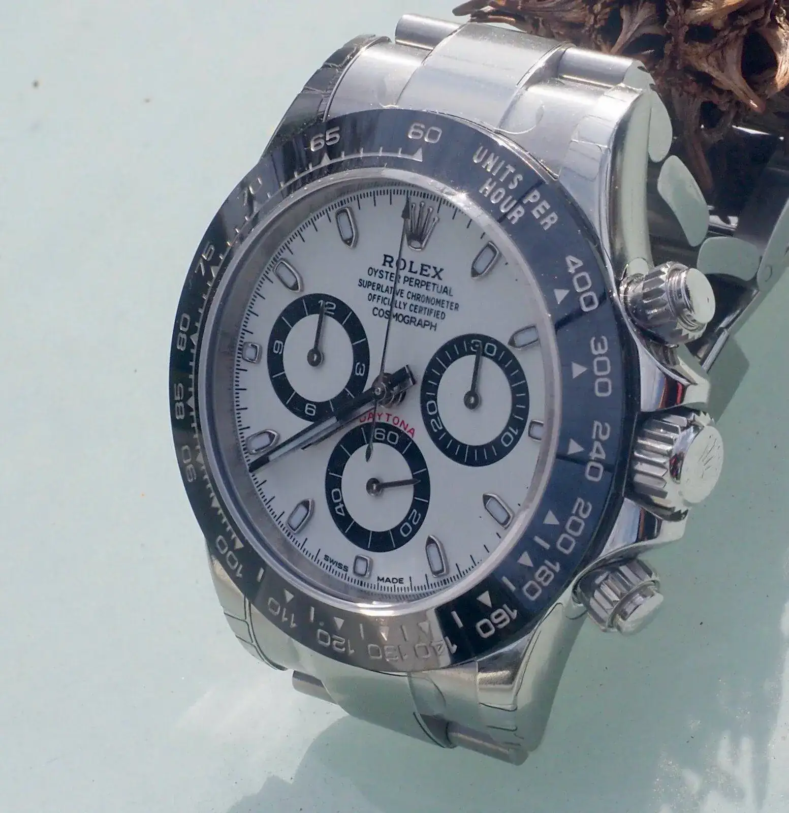 P2240016 (1).jpeg