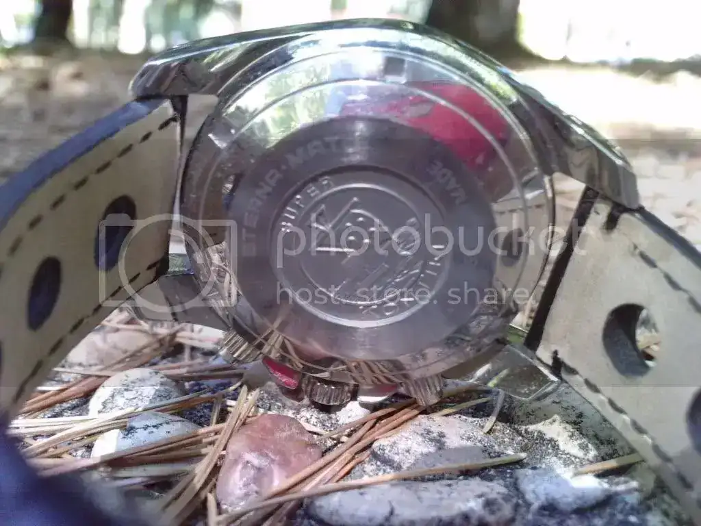 P240810_16420002.webp