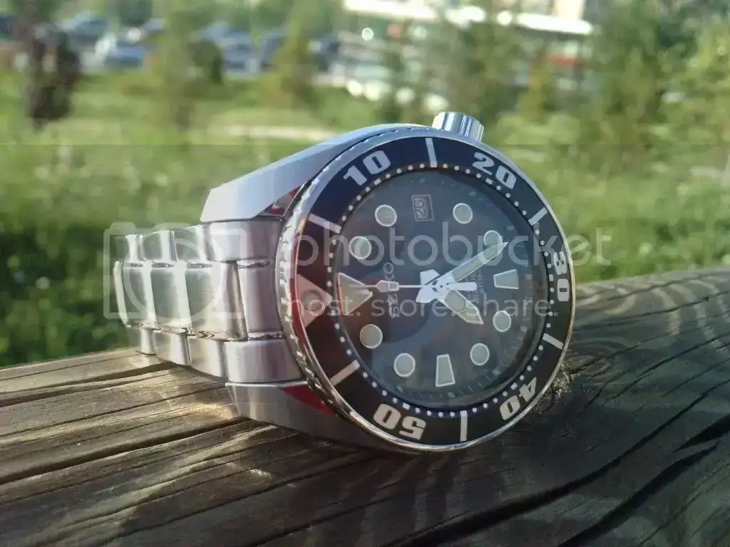P260410_19260004.webp
