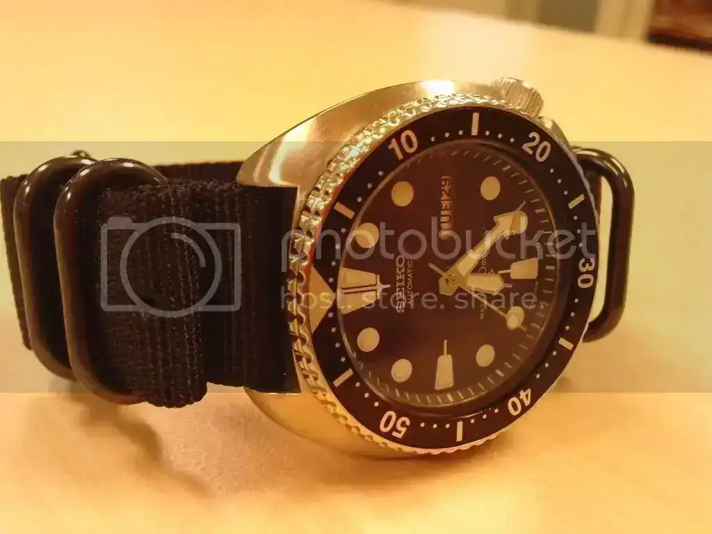 P290909_18220002.webp