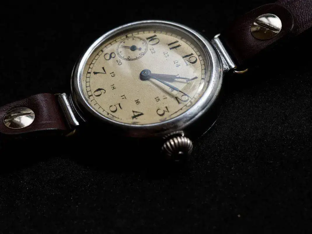 P3190654.webp