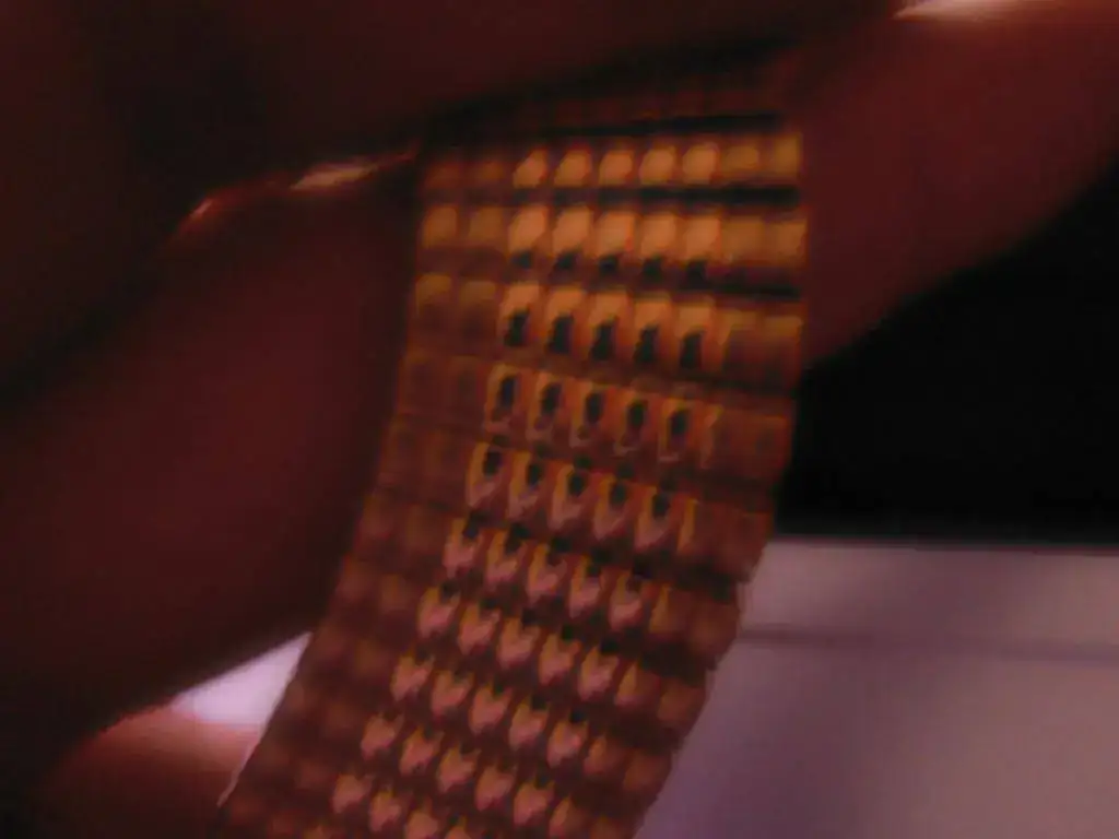 P3200026.webp