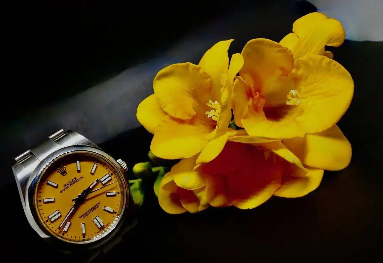 P3200236.webp