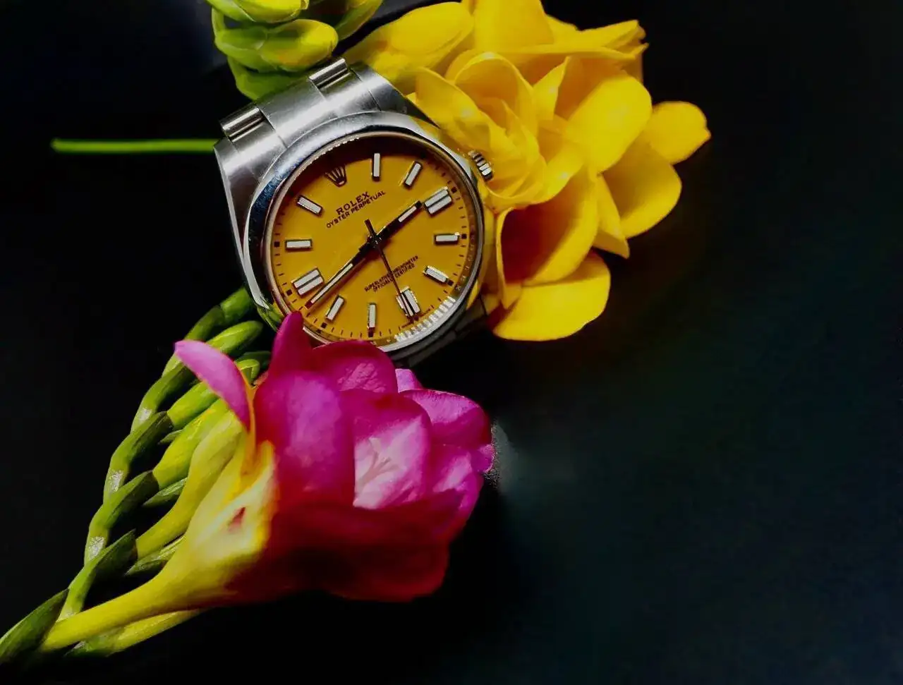 P3200243 (1).webp