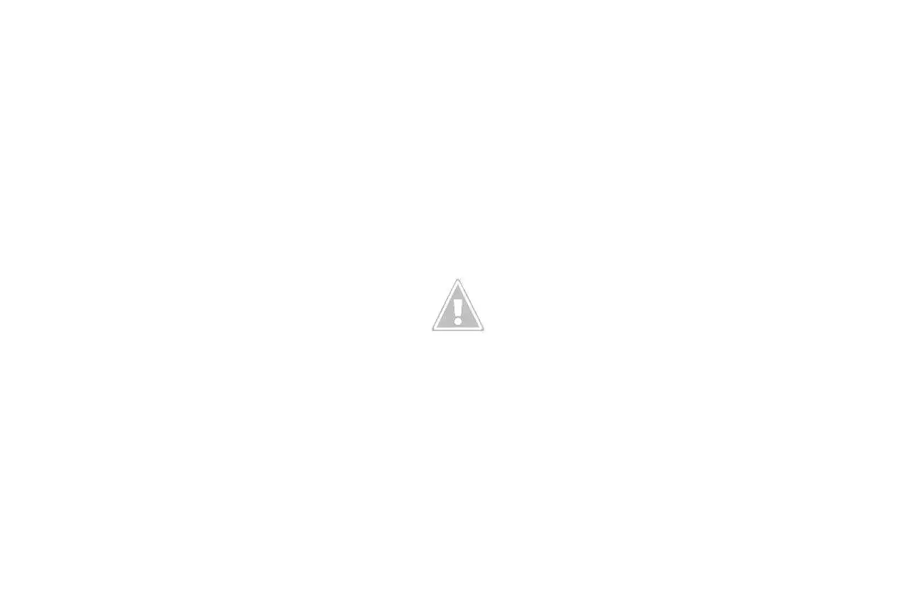 P3201869.webp