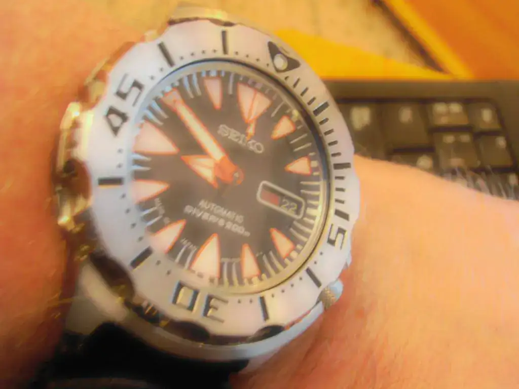 P3220004.webp