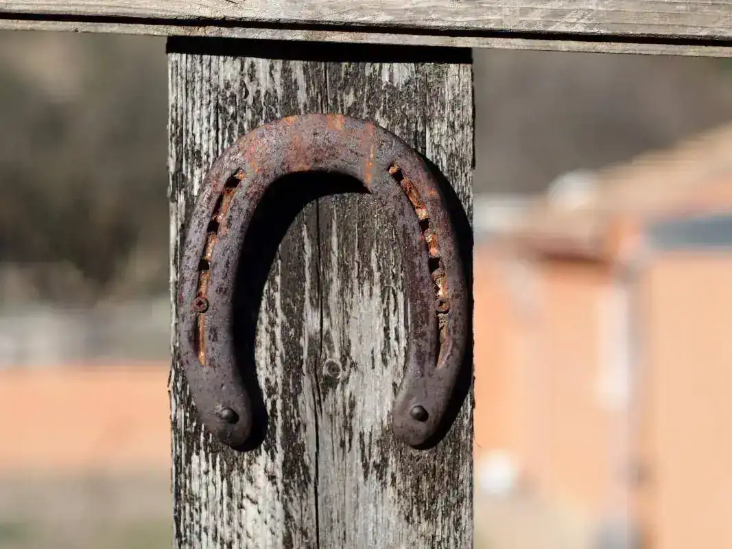 P3277515.webp