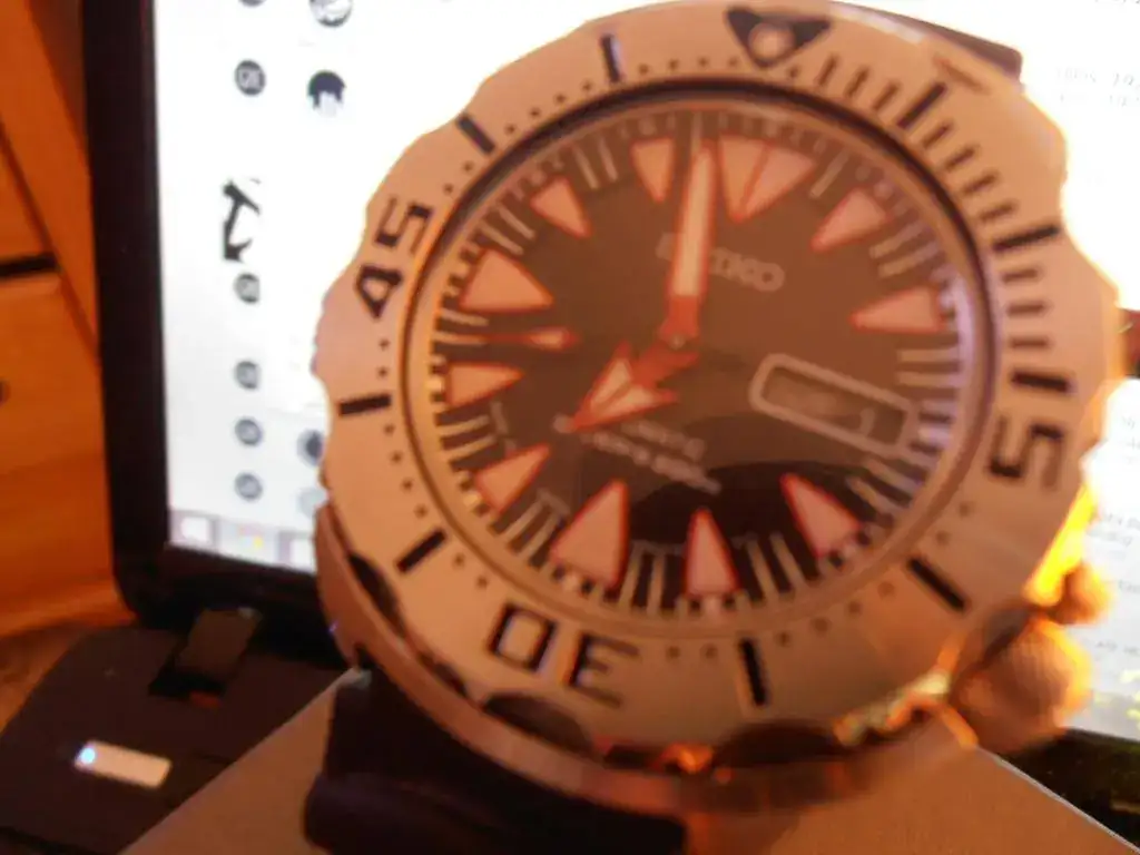 P4010003.webp
