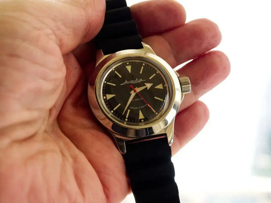 P4090127.webp