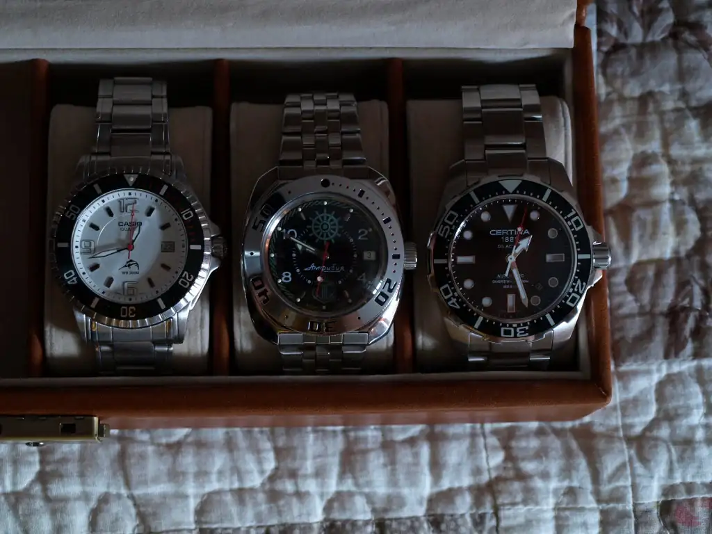 P4103883.webp