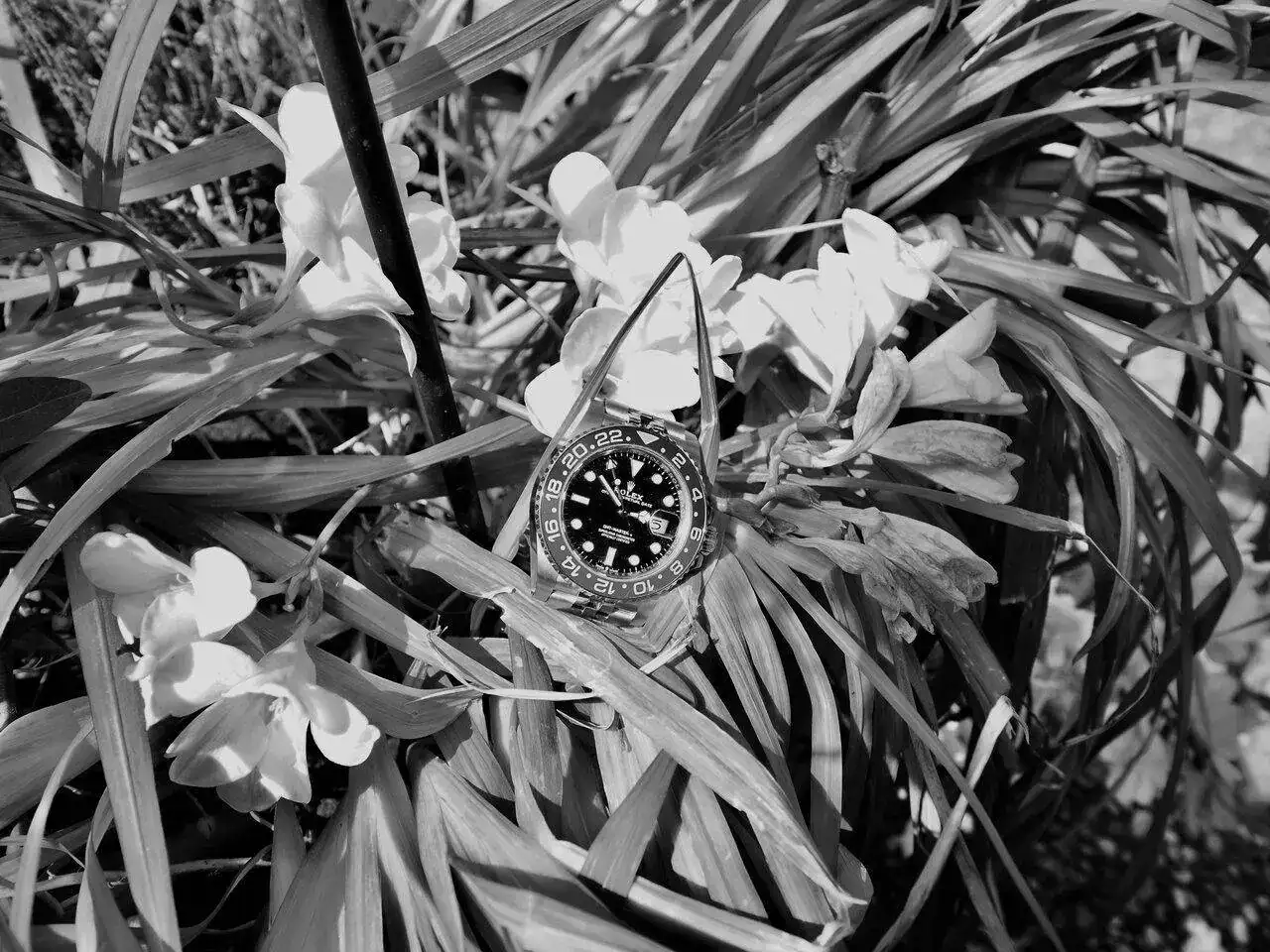 P4151063.webp
