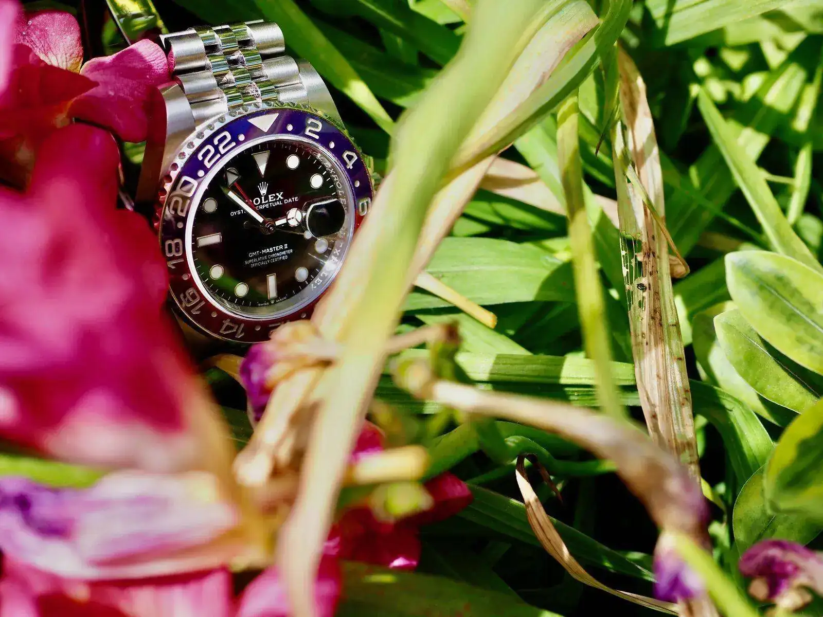 P4151066 (1).webp