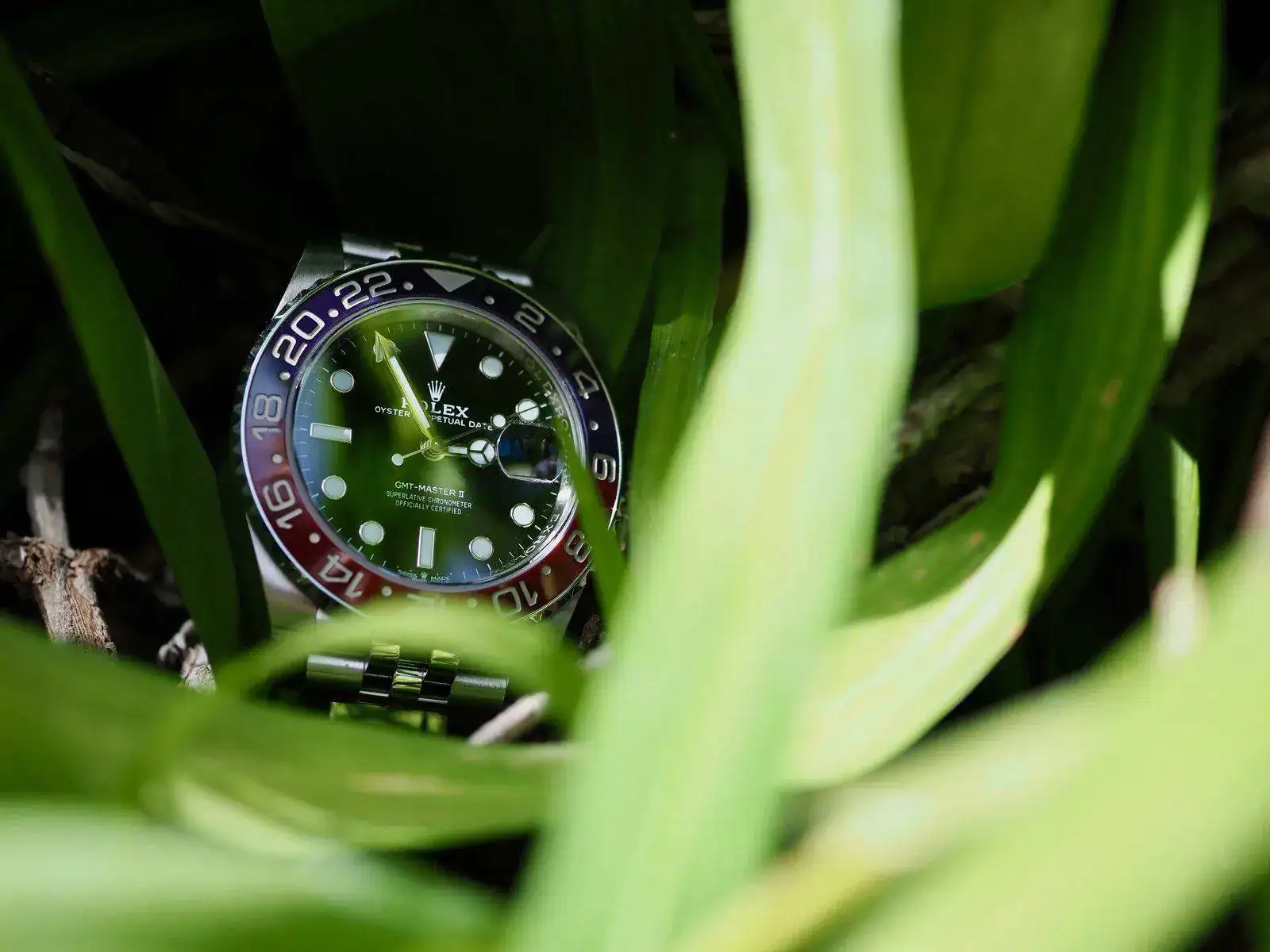 P4151071 (1).webp