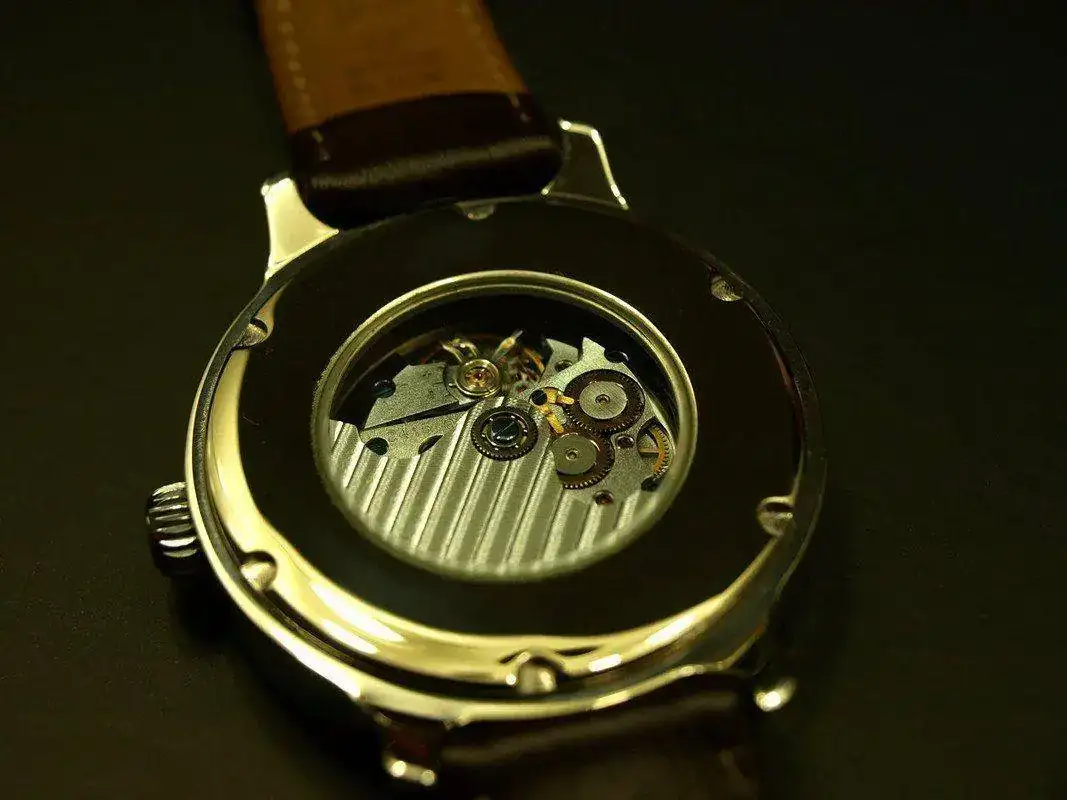 P4175884.webp