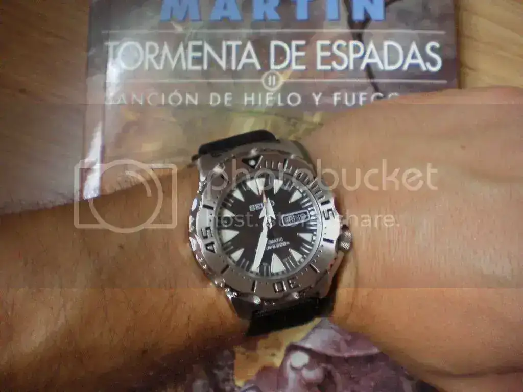 P4190219Medium_zpsb2658671.webp