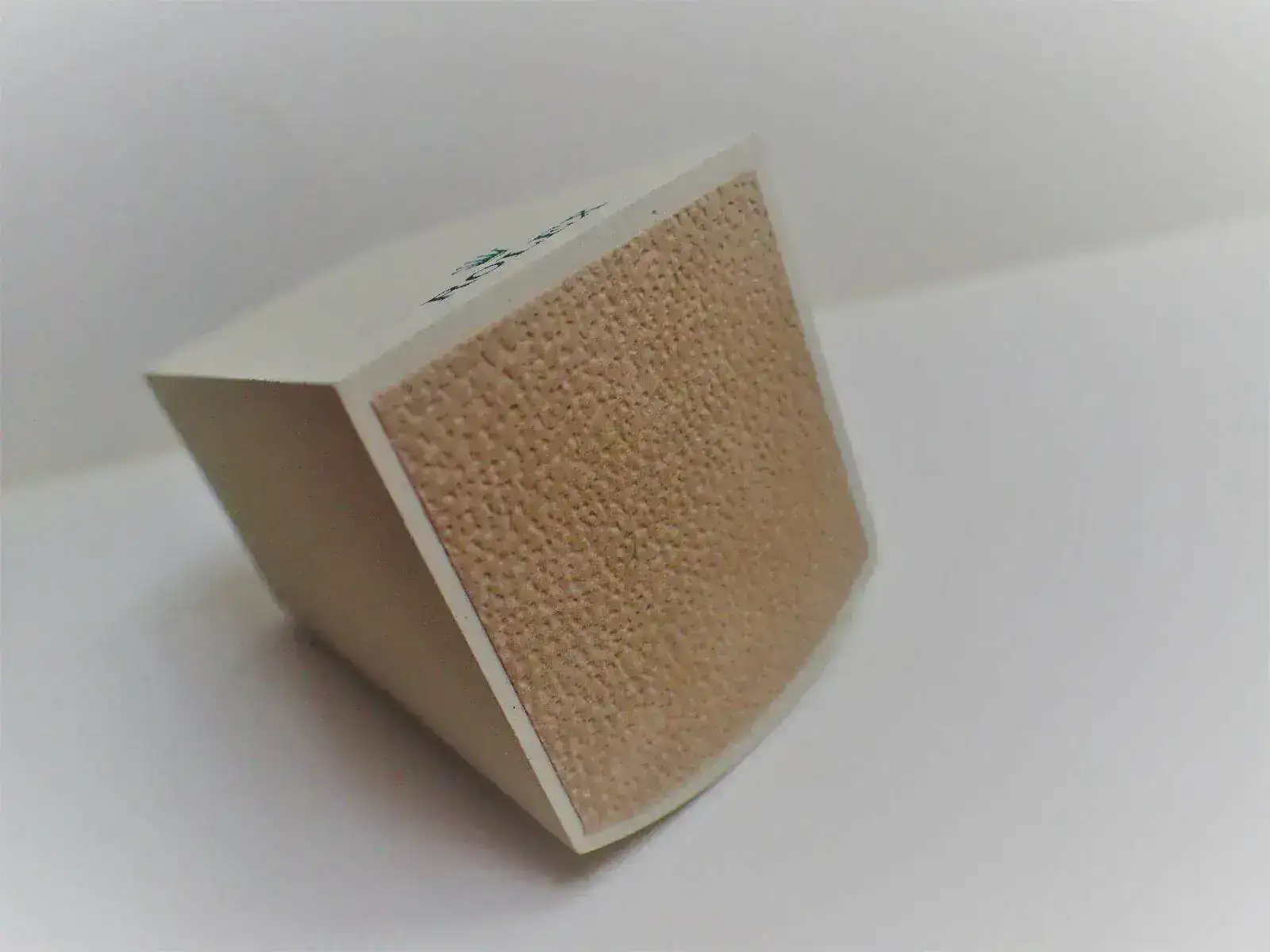 P4270869 (2).webp