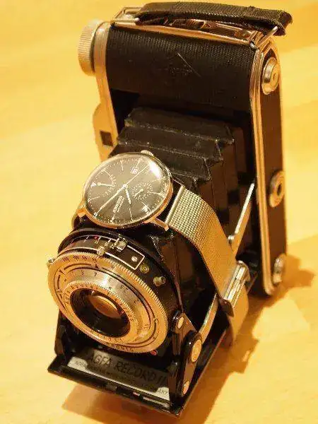P5080028_450x600.webp