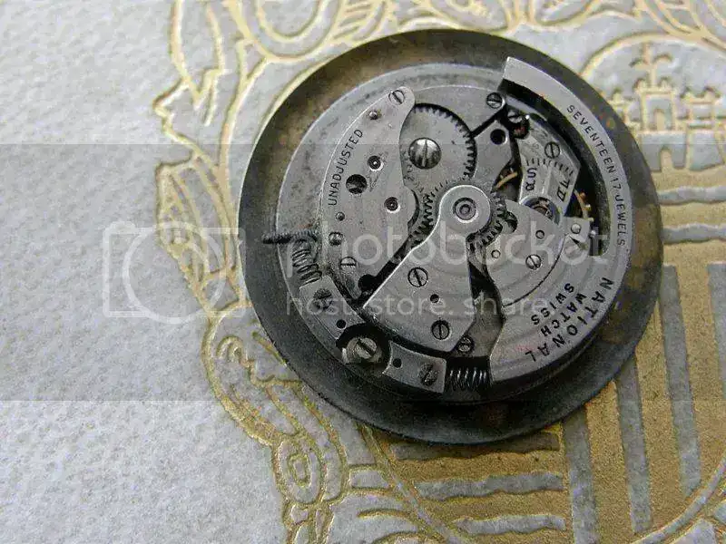 P5230006.webp