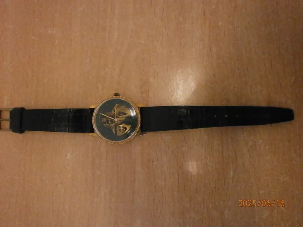P6163190P.webp