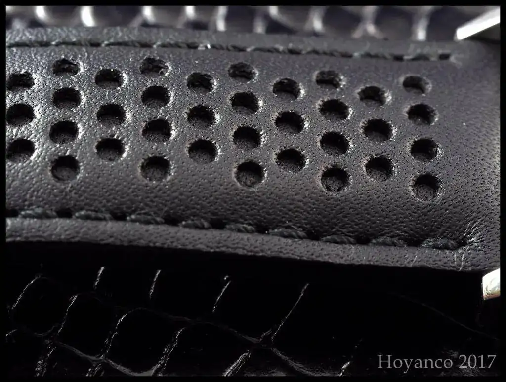 P6290368 (Copiar).webp