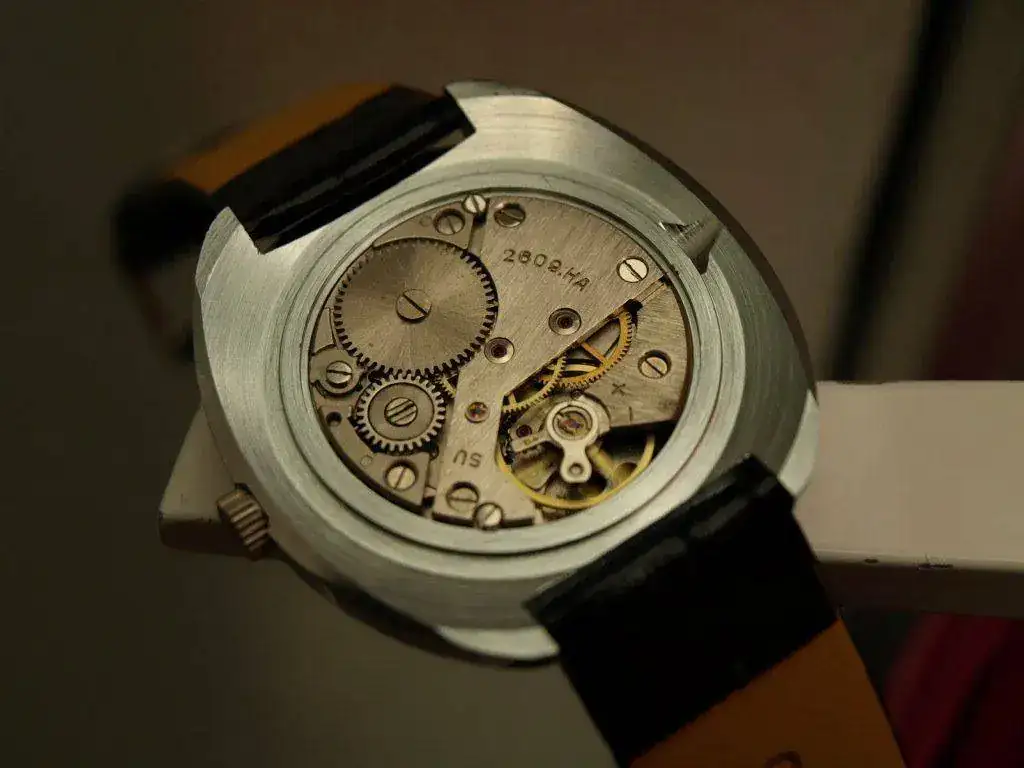 P7055035.webp