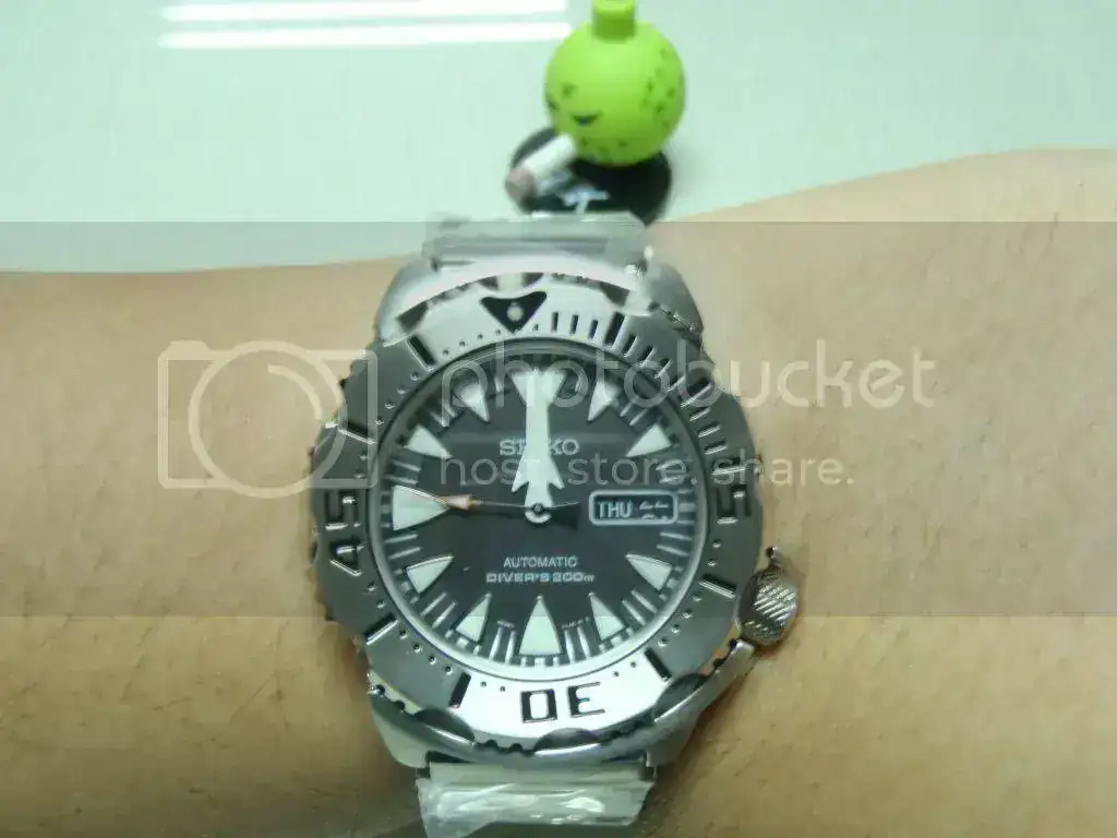 P7250022.webp