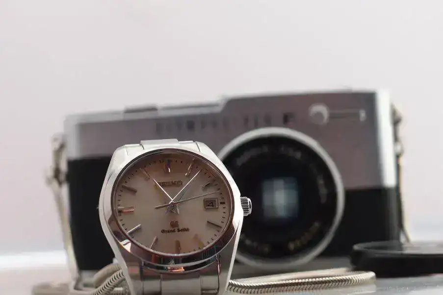 P8042039.webp