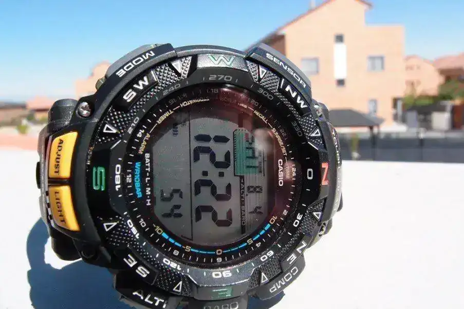 P8042138.webp