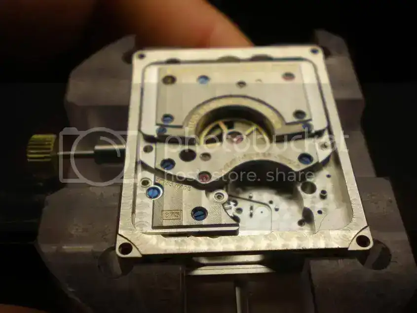P8130041_845x634.webp