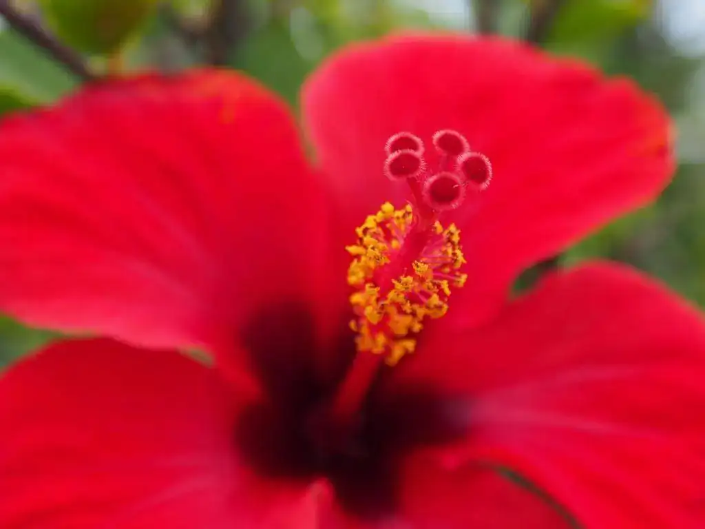 P8160046.webp