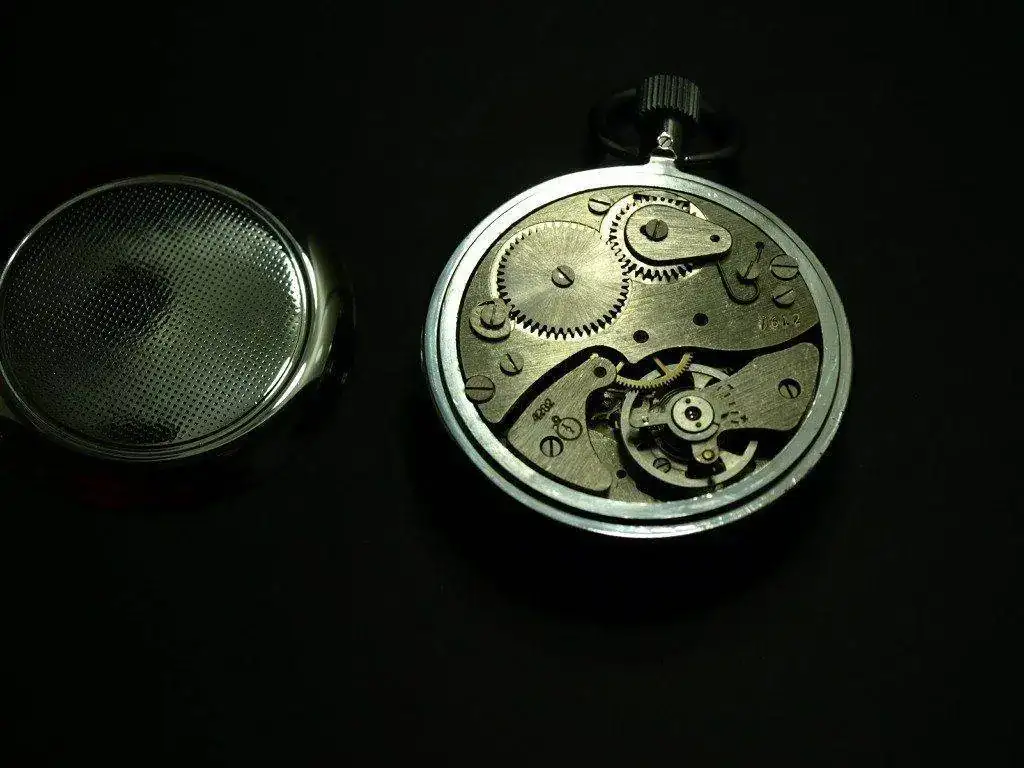 P8186183.webp