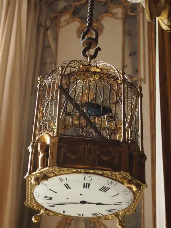 P8201171.webp
