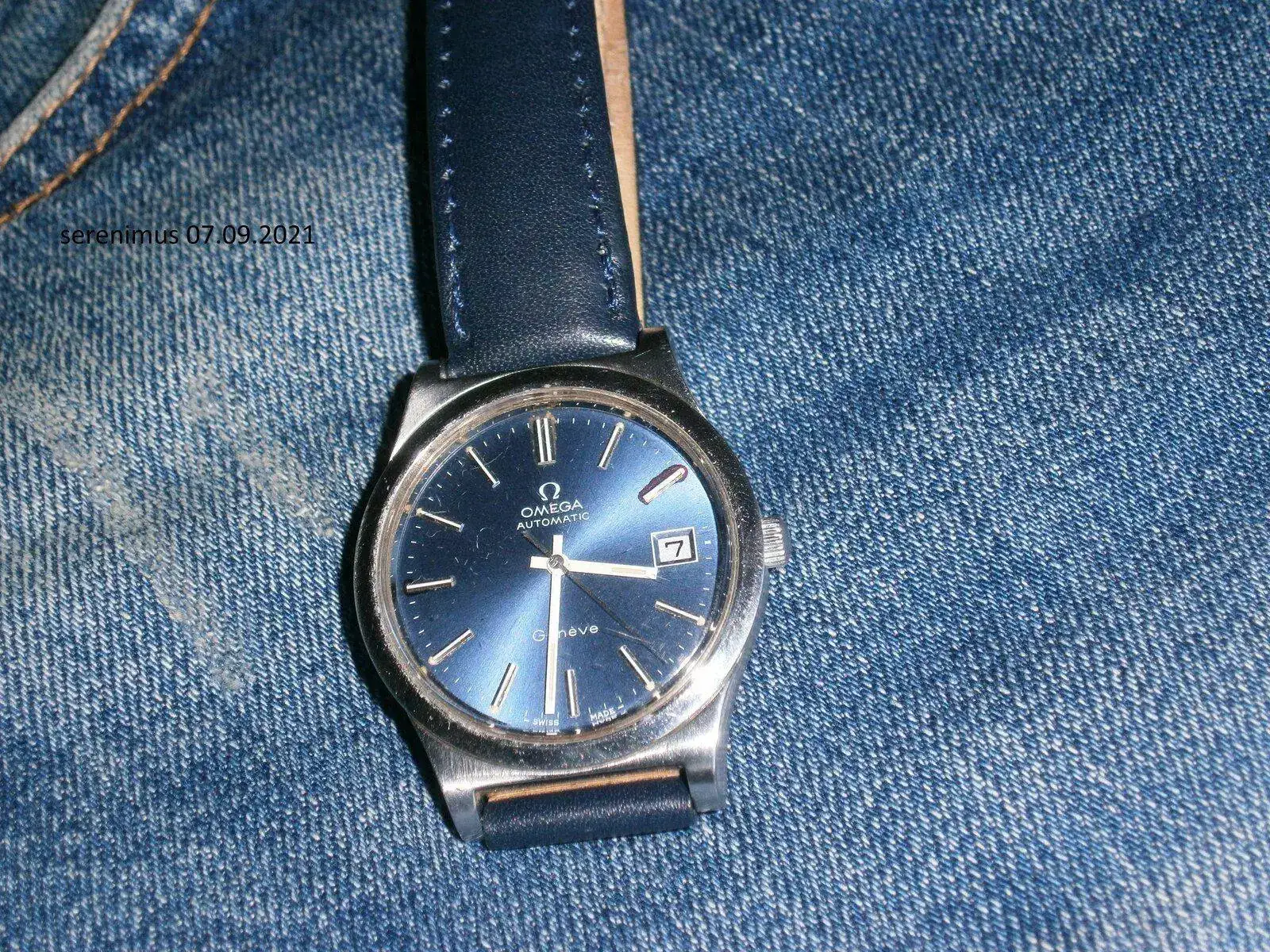 P9040257.webp