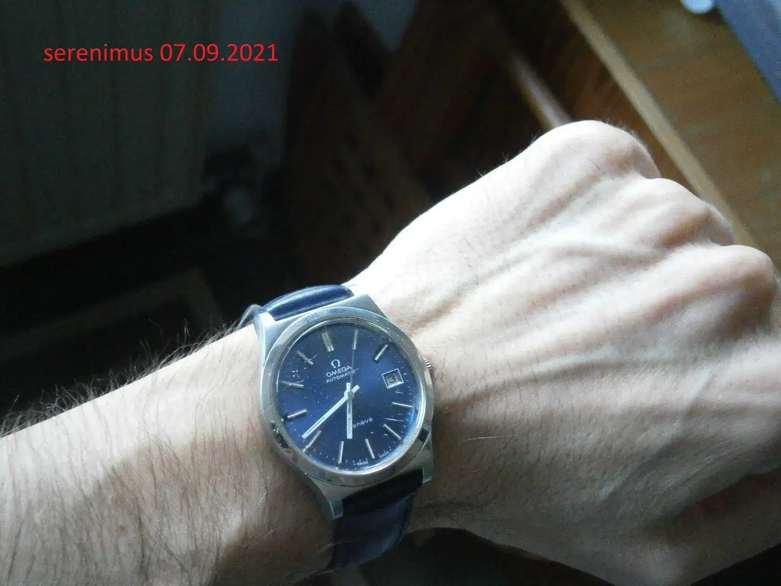 P9040268.webp
